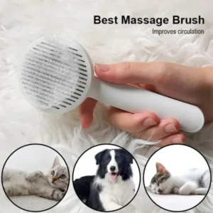 Cat Self-Grooming Wall Brush | Massage Comb for Pets